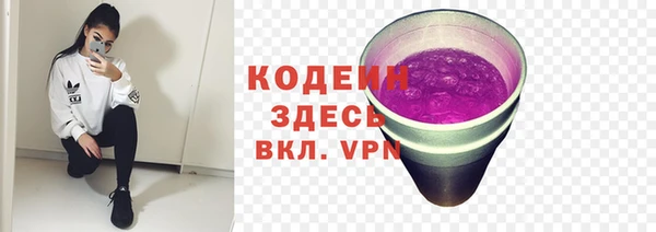 молекула духа Бронницы