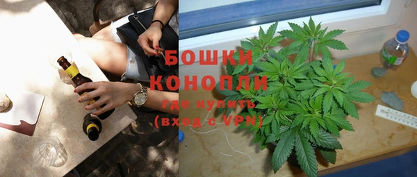 молекула духа Бронницы