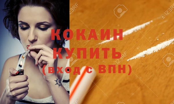 2c-b Бородино