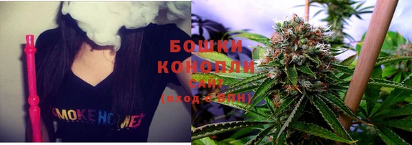 молекула духа Бронницы